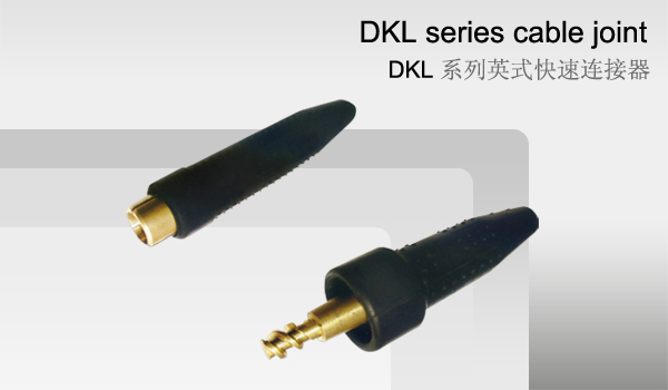 DKL系列英式快速连接器