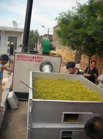 金银花烘干设备